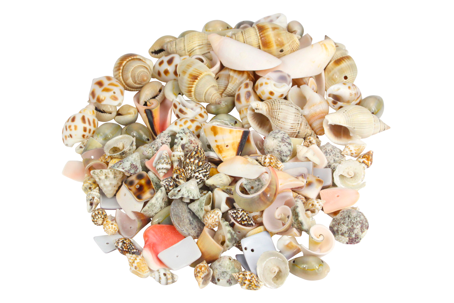 Perles coquillages - Environ 150 coquillages