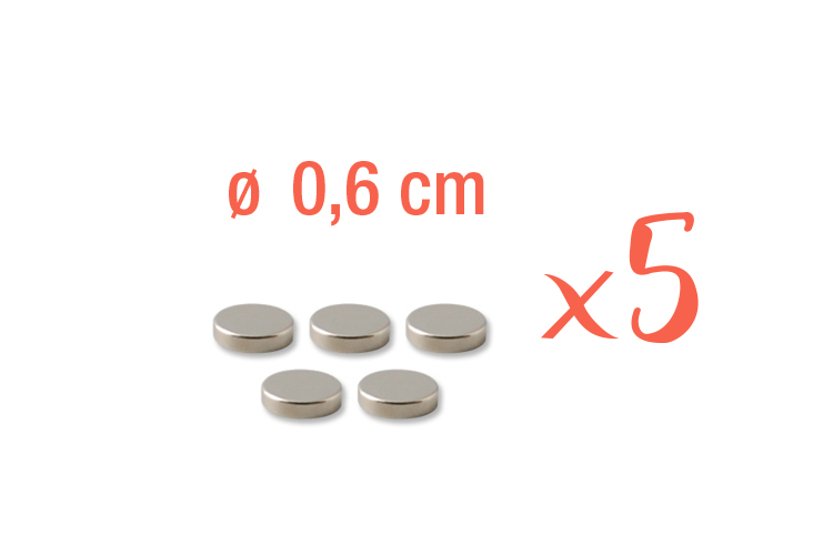Aimant néodyme Ø 6 mm - Lot de 5