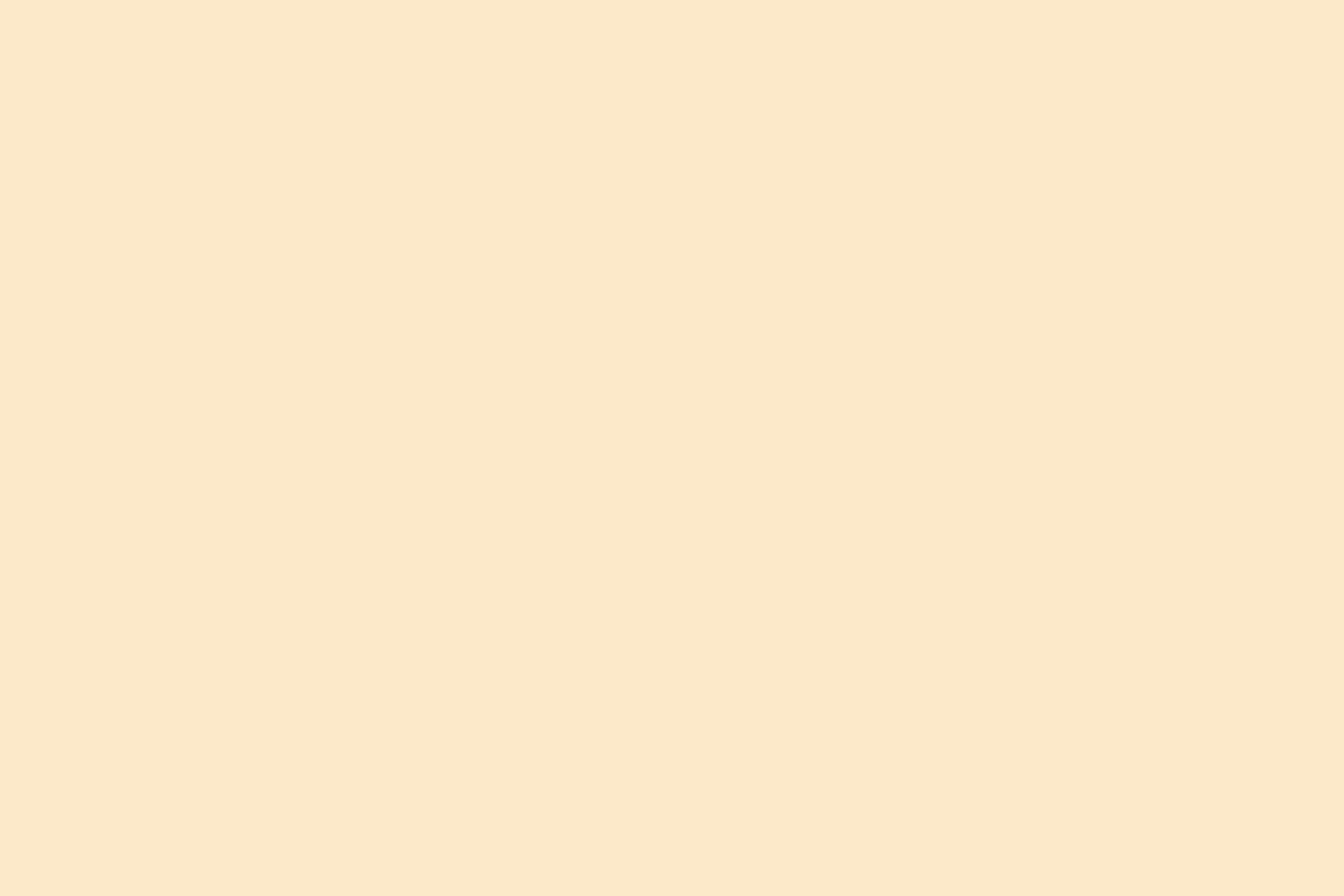 Papier épais 300 gr/m²  Beige - 10 feuilles A4