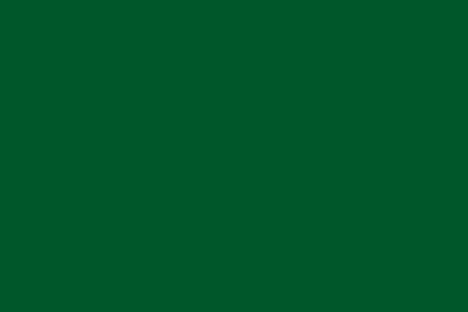 Papier épais 300 gr/m²  Vert foncé- 10 feuilles A4