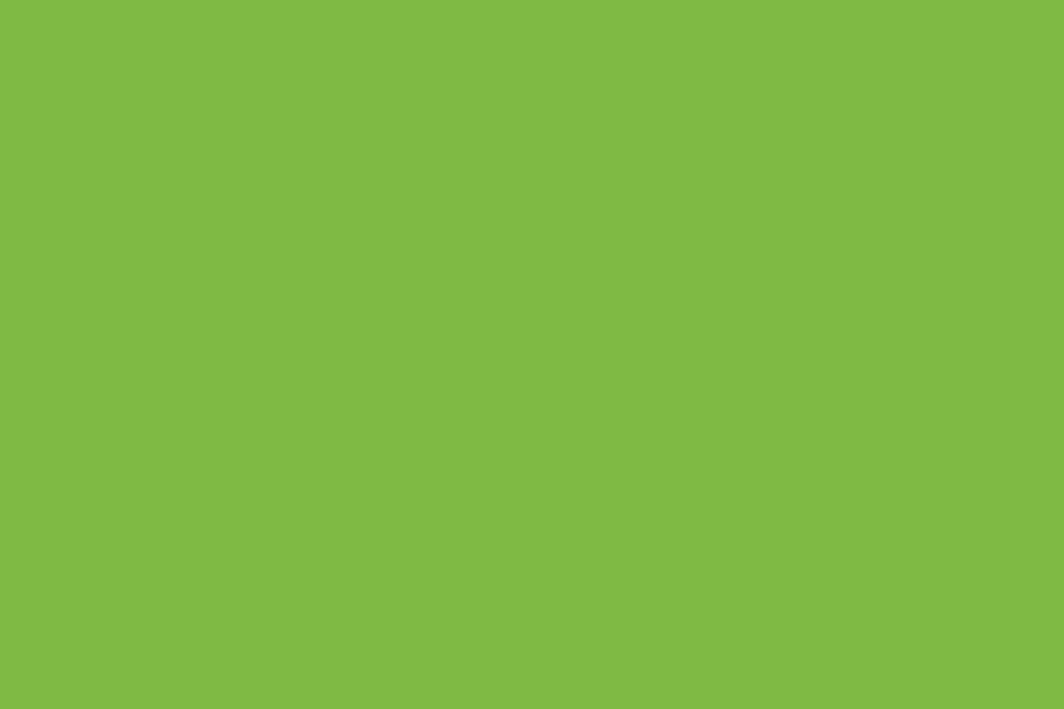 Papier épais 300 gr/m²  Vert printemps - 10 feuilles A4
