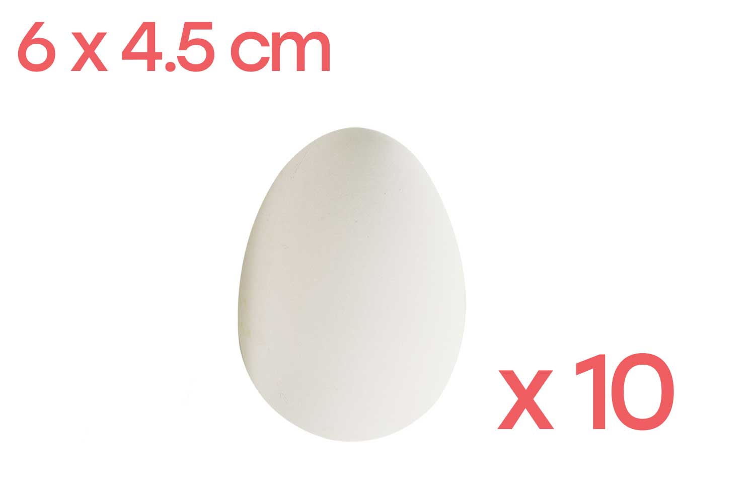 Grands oeufs en plastique blanc - 1 set (10 pièces)