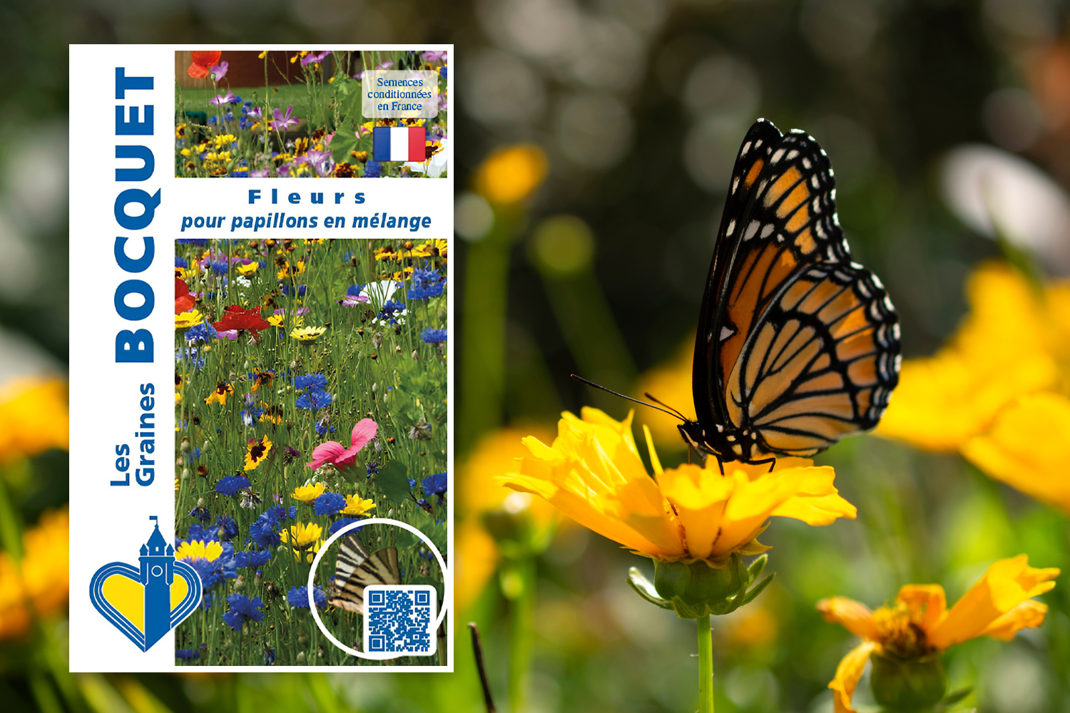 Mélange de graines de fleurs pour papillons