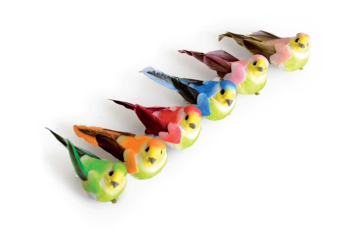 Oiseaux colorés sur pince - Set de 6 
