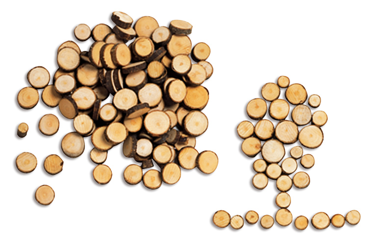 Rondelles de bois (Ø 7 mm à 2,5 cm - Épaisseur : 4 mm) - environ 100 pièces