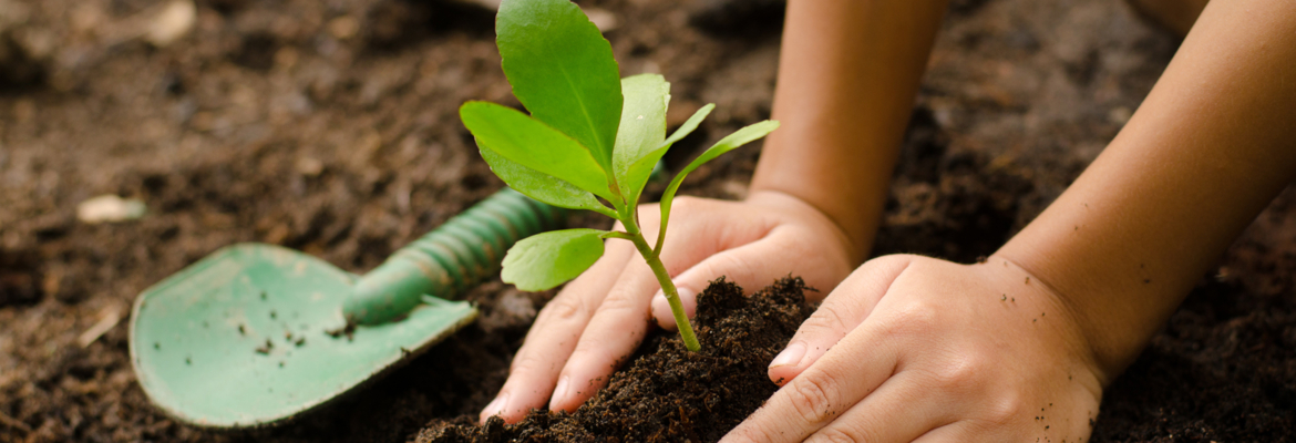 J'explore la nature Activités créatives