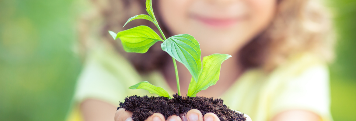 plantes