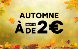 Loisirs créatifs d'Automne à moins de 2 € - Loisirs créatifs Automne - 10doigts.fr