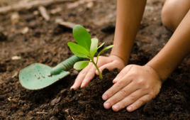 J'explore la nature - Activités Montessori - 10doigts.fr