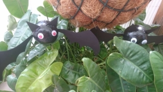Nos chauve souris - Créations d'enfant - 10doigts.fr