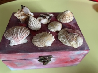 Boite a coquillages - 10doigts.fr