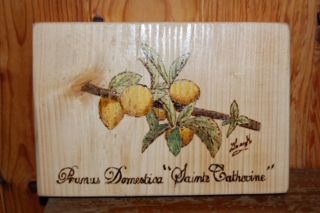 Pancarte Prunier Sainte Catherine - Déco du bois - 10doigts.fr