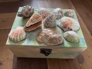 Boite a coquillages - 10doigts.fr