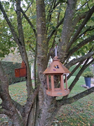Mangeoire oiseaux - 10doigts.fr