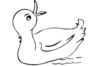 Canard 22 - Coloriages animaux - Coloriages - 10doigts.fr
