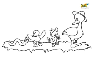Canard 26 - Coloriages animaux - Coloriages - 10doigts.fr