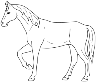 Cheval 08 - Coloriages animaux - Coloriages - 10doigts.fr