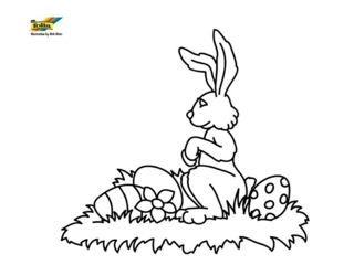 Lapin56 - Coloriages animaux - Coloriages - 10doigts.fr