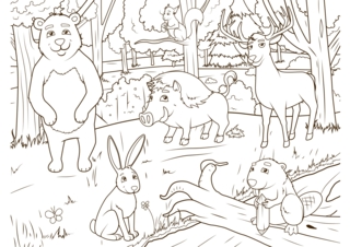 Animaux-foret2 - Coloriages animaux - Coloriages - 10doigts.fr