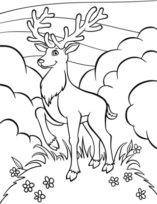 Animaux-foret3 - Coloriages animaux - Coloriages - 10doigts.fr