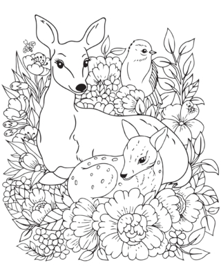 Animaux-foret6 - Coloriages animaux - Coloriages - 10doigts.fr
