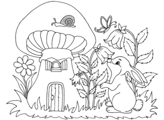 Animaux-foret7 - Coloriages animaux - Coloriages - 10doigts.fr