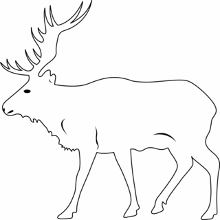 Cerf 02 - Coloriages animaux - Coloriages - 10doigts.fr