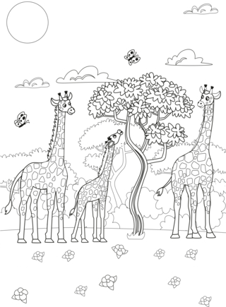 Animaux-jungle18 - Coloriages animaux - Coloriages - 10doigts.fr