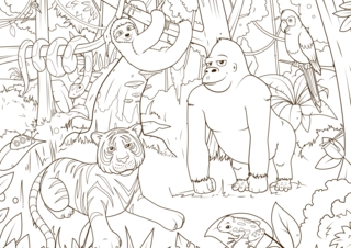 Animaux-jungle3 - Coloriages animaux - Coloriages - 10doigts.fr
