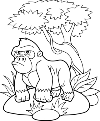 Animaux-jungle7 - Coloriages animaux - Coloriages - 10doigts.fr