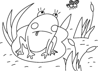 Grenouille 01 - Coloriages animaux - Coloriages - 10doigts.fr