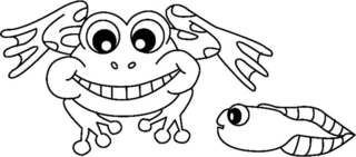 Grenouille 04 - Coloriages animaux - Coloriages - 10doigts.fr