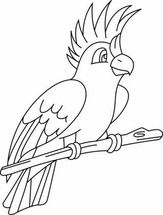 Perruche 02 - Coloriages animaux - Coloriages - 10doigts.fr