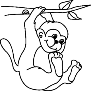 Singe04 - Coloriages animaux - Coloriages - 10doigts.fr