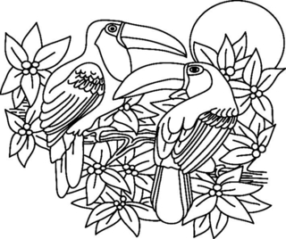 Toucan 02 - Coloriages animaux - Coloriages - 10doigts.fr