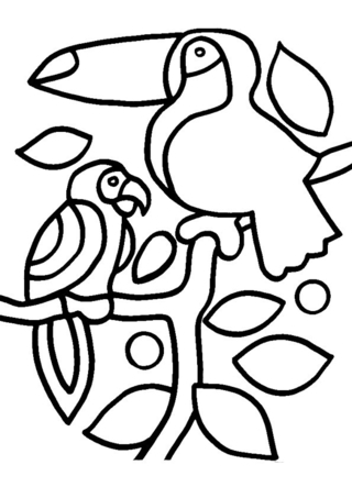 Toucan et perroquet01 - Coloriages animaux - Coloriages - 10doigts.fr
