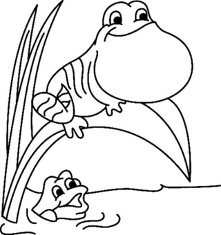 Grenouille 05 - Coloriages animaux - Coloriages - 10doigts.fr