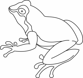 Grenouille 07 - Coloriages animaux - Coloriages - 10doigts.fr