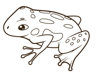 Grenouille 09 - Coloriages animaux - Coloriages - 10doigts.fr