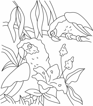 Perroquet 03 - Coloriages animaux - Coloriages - 10doigts.fr