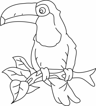Toucan 003 - Coloriages animaux - Coloriages - 10doigts.fr