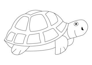 Tortue 04 - Coloriages animaux - Coloriages - 10doigts.fr