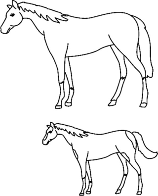 Cheval 02 - Coloriages animaux - Coloriages - 10doigts.fr