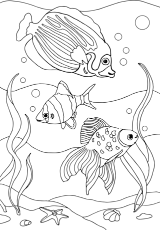 Animaux-marins8 - Coloriages animaux - Coloriages - 10doigts.fr
