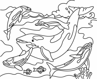 Baleine 03 - Coloriages animaux - Coloriages - 10doigts.fr