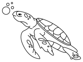 Tortue 01 - Coloriages animaux - Coloriages - 10doigts.fr
