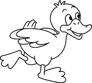 Canard 13 - Coloriages animaux - Coloriages - 10doigts.fr