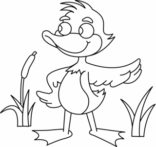 Canard 14 - Coloriages animaux - Coloriages - 10doigts.fr
