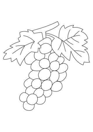 Raisins 02 - Coloriages fleurs, fruits et légumes - Coloriages - 10doigts.fr