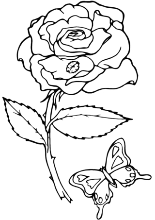 Rose 06 - Coloriages fleurs, fruits et légumes - Coloriages - 10doigts.fr
